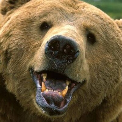 Profile Picture of OSCAR QUILAUSING (@oscar96749) on Twitter