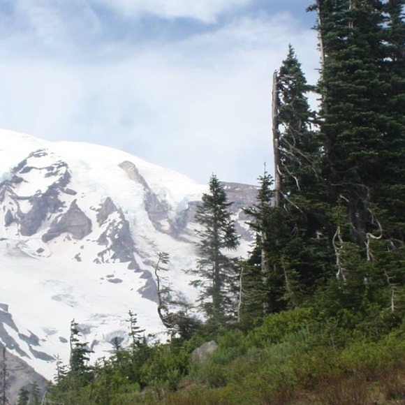 Profile Picture of Libby Liu (@libbyl__) on Poshmark