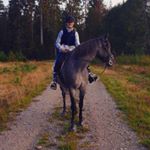 Profile Picture of Kim Pallander 🐴❤️ (@_pallander_kim_) on Instagram