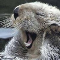 Profile Picture of Luke Emery (@luke-emery-2) on Quora