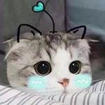 Profile Picture of ka - hoon (@ryanmuch) on Instagram