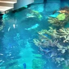 Profile Picture of Lucas Jensen (@doughnutdeath) on Twitter