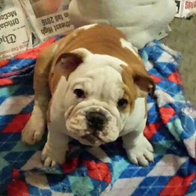 Profile Picture of Nick Benard (@nickbnard) on Twitter