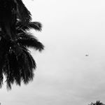 Profile Picture of Noble Warror🌙 (@je_andrew) on Instagram