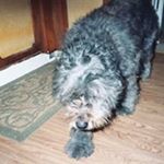 Profile Picture of Steve Elbert (@steve.elbert2018) on Instagram