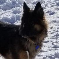 Profile Picture of Paul Rubinstein (@paul-rubinstein-4) on Quora