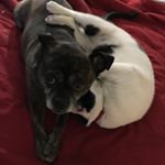 Profile Picture of David Pachter (@pachterd) on Instagram