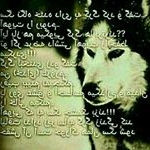 Profile Picture of RoBiN....HooD (@raben.hod) on Instagram