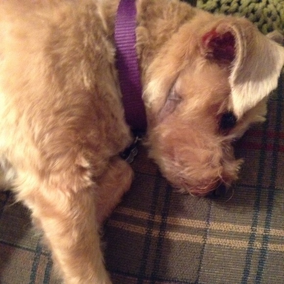 Profile Picture of Katty Katty (@kattyelizamo) on Poshmark