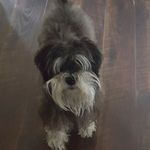 Profile Picture of Saundra Broadus-Hernandez (@ssbroadus) on Instagram