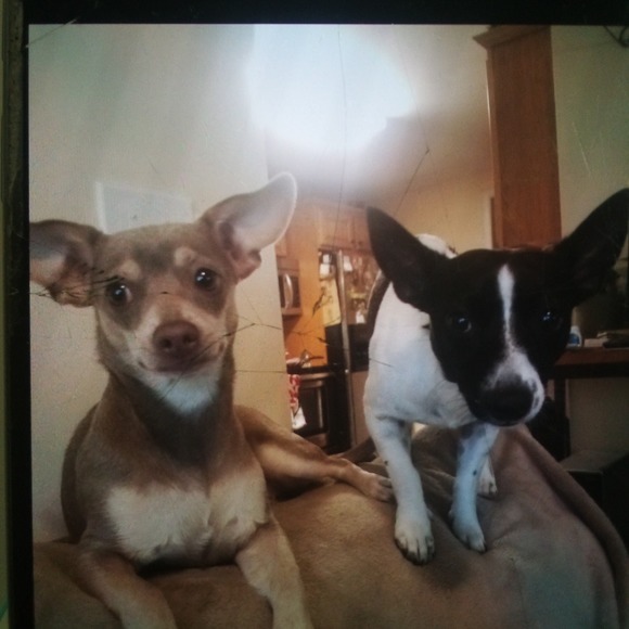 Profile Picture of Frances Lamonds (@franceslamonds) on Poshmark