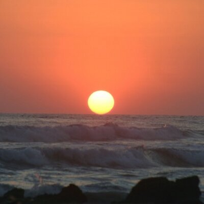 Profile Picture of Francine L. Brown (@FrancineZBrown) on Twitter