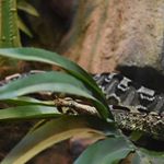 Profile Picture of • 𝐺𝑒𝑜𝑟𝑔𝑒 | 𝐺𝑎𝑏𝑟𝑖𝑒𝑙𝑙𝑎 • (@george.bella.photos) on Instagram