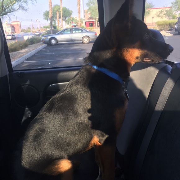 Profile Picture of Joseph Gonzalez (@josephginzalezz) on Poshmark