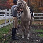Profile Picture of Ginger McFadden (@dragonwayfarmllc) on Instagram
