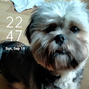 Colin Keenan - Youtube Profile Picture of Colin Keenan (@colinkeenan3049) on Youtube