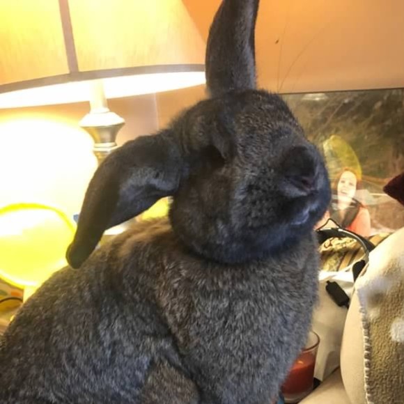 Profile Picture of Mckay Smith (@maxxmicky5) on Poshmark