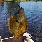 Profile Picture of Thomas Symonds (@thomas.symonds.129) on Instagram