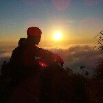 Profile Picture of Ahmad Badawi (@alwibadawi) on Instagram