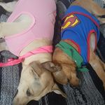 Profile Picture of Gisela Jaramillo Marin (@maringiselajaramillo) on Instagram