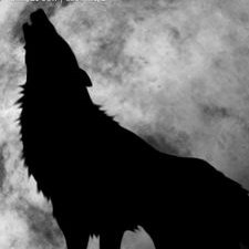 Profile Picture of Benjamin Arnoux (@thewolfdarknigh) on Twitter