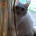 Profile Picture of Judy Stuckemeyer (@judy.stuckemeyer.9) on Facebook