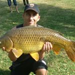 Profile Picture of David Novelli (@david.novelli383) on Instagram