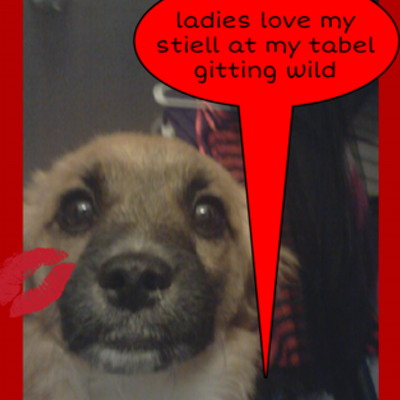 Profile Picture of Katelyn Job (@katelyn_i) on Twitter