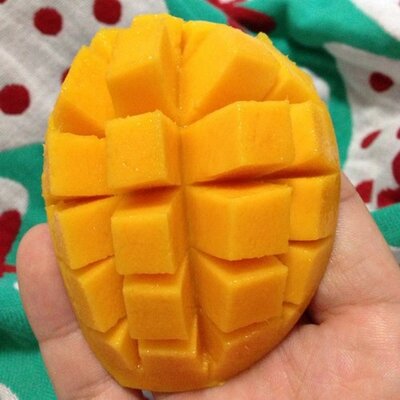 Profile Picture of Aaron Dang (@dangbin) on Twitter