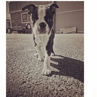 James Van Rensburg - Facebook Profile Picture of James Van Rensburg (@james.rensburg) on Facebook