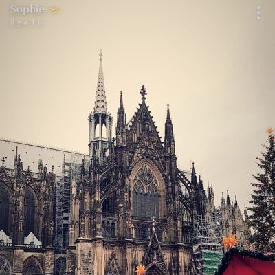 Profile Picture of Cécile (@CecileLebacq) on Twitter