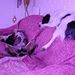 Profile Picture of Lori Imhoff (@loriimhoff1) on Pinterest
