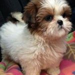 Profile Picture of Lucy Uribe (@uribe2030) on Instagram