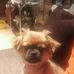 Profile Picture of Brown Lightfoot (@brown.lightfoot.5) on Facebook