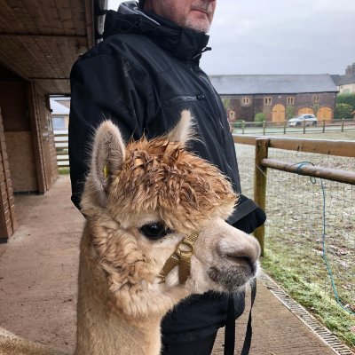 Profile Picture of Stuart Wilson (@1StuartWilson) on Twitter