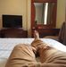 Profile Picture of Roy Joe (@riki.joe.5249) on Facebook