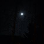 Profile Picture of Robert Niemiec (@robertniemiec) on Instagram