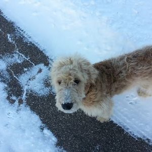 Profile Picture of Hemhawes (@AckmannMark) on Twitter