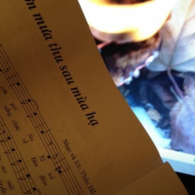 Profile Picture of Thuc Ho (@ThucHo5) on Twitter