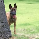 Profile Picture of Eric Pung (@hisurfcam) on Instagram