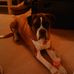 Profile Picture of Riggs Wilson (@riggs.wilson.1) on Facebook