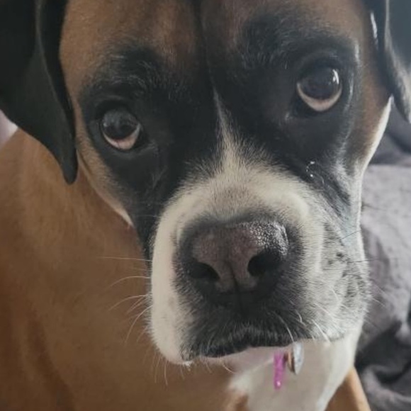 Profile Picture of Kurstyn Wallace (@kurstyn_wallace) on Poshmark