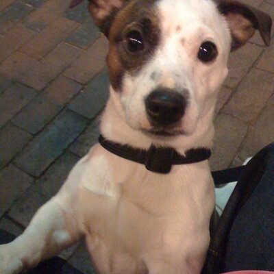 Profile Picture of Marc Magnone (@MarcMagnone) on Twitter