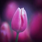 Profile Picture of Hinesh Rathod (@rathodhinesh) on Instagram