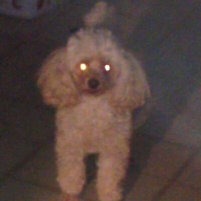 Profile Picture of Mitch Hogue (@Mitch_Hogue) on Twitter