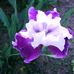 Profile Picture of Judy Halterman Jones (@judy.h.jones.98) on Facebook