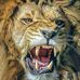 Profile Picture of Howard Boldrey (@howard.boldrey.779) on Facebook