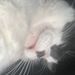 Profile Picture of Jacob Roehm (@jacobroehm) on Pinterest