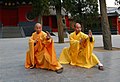 Profile Picture of Shaolin kung fuon Wikipedia