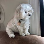 Profile Picture of Steven Arcadius Hanner (@steve_alexandriascousin) on Instagram